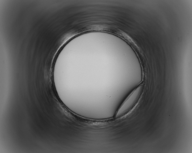 X0000082981178200703020250