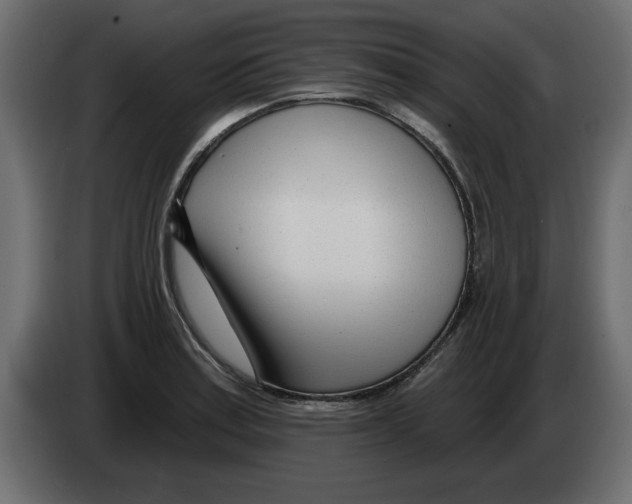 X0000082981179200703020250