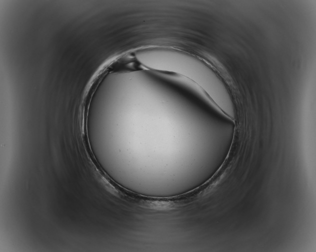 X0000082981180200703020250