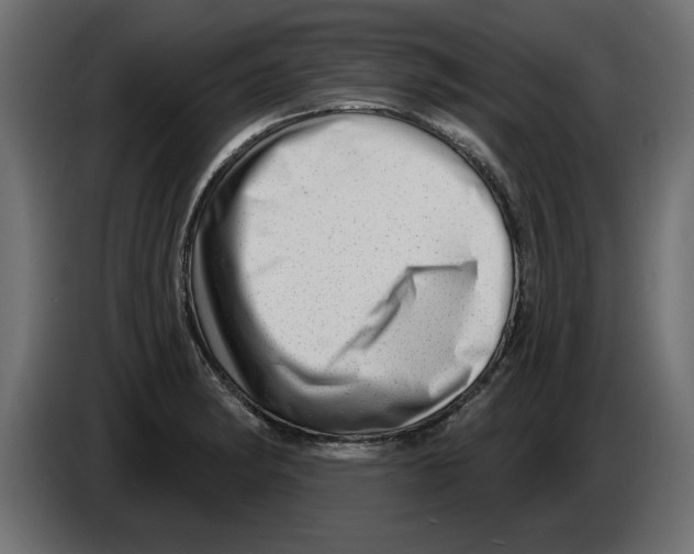 X0000082981182200703020250