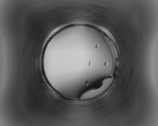 X0000082981183200703020250