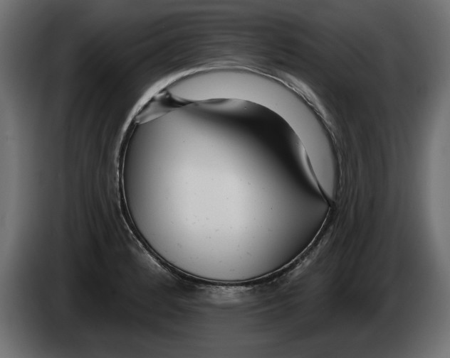 X0000082981184200703020250