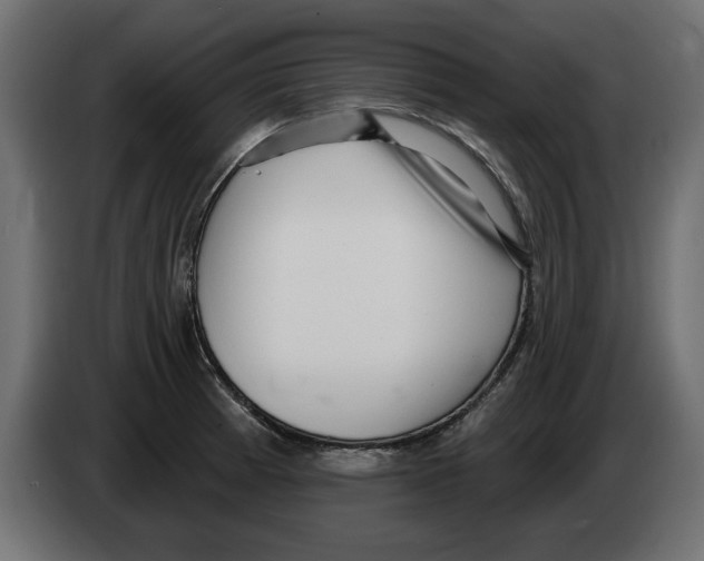 X0000082981185200703020250
