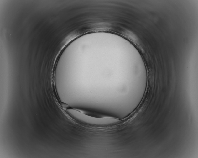 X0000082981186200703020250