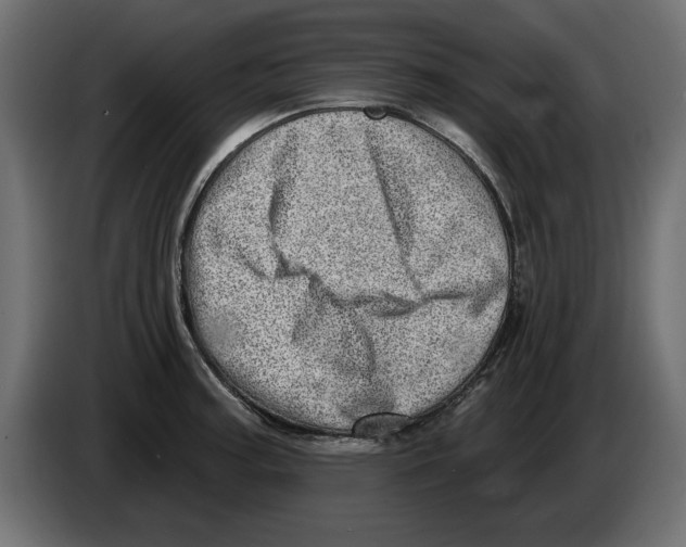X0000082981187200703020250