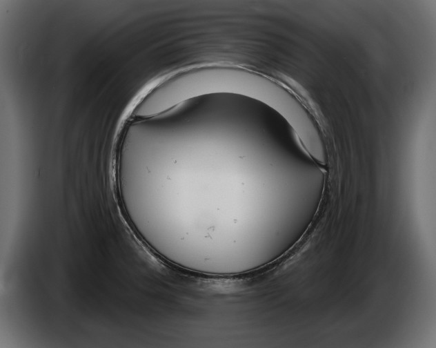 X0000082981188200703020250