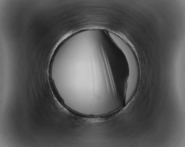 X0000082981189200703020250