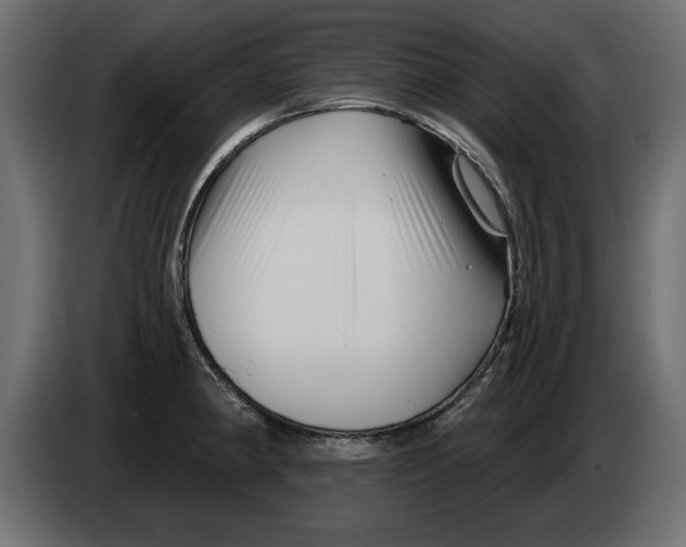 X0000082981190200703020250