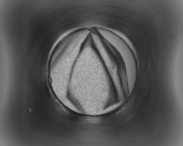 X0000082981191200703020250