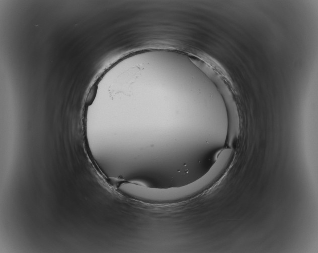X0000082981192200703020250