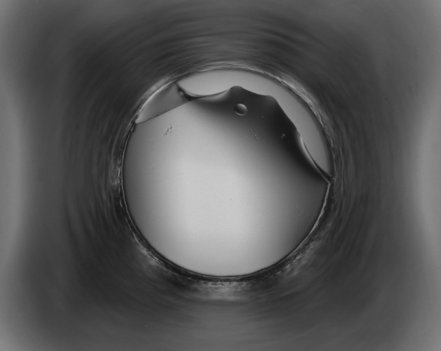 X0000082981193200703020250