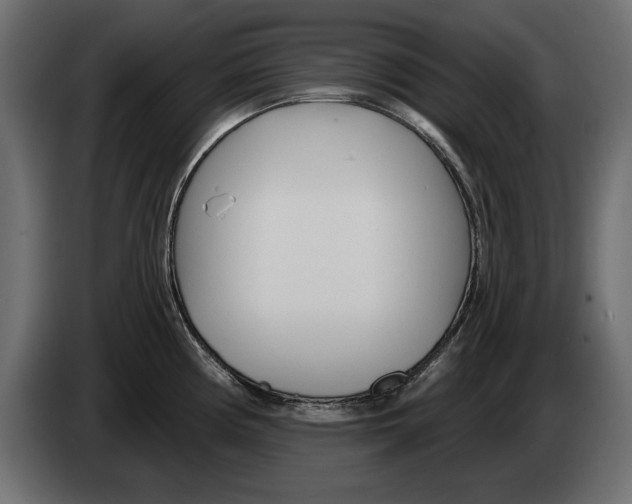 X0000082981194200703020250