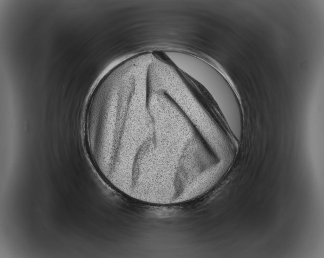 X0000082981195200703020250