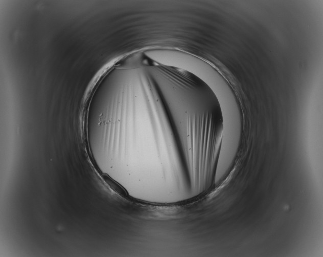 X0000082981196200703020250