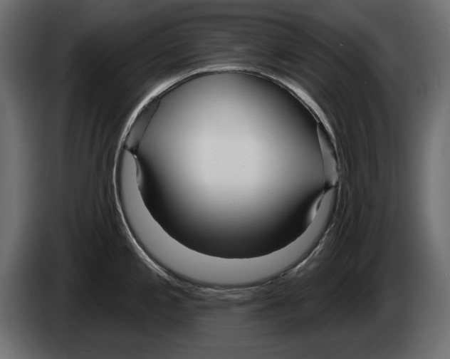 X0000082981197200703020250