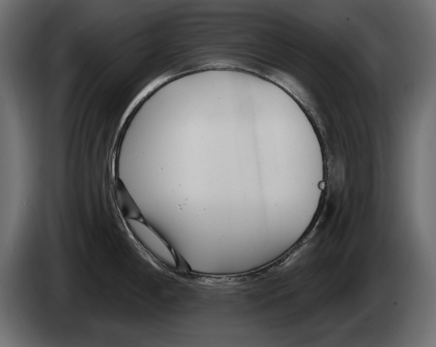 X0000082981198200703020250