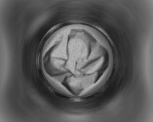 X0000082981199200703020250