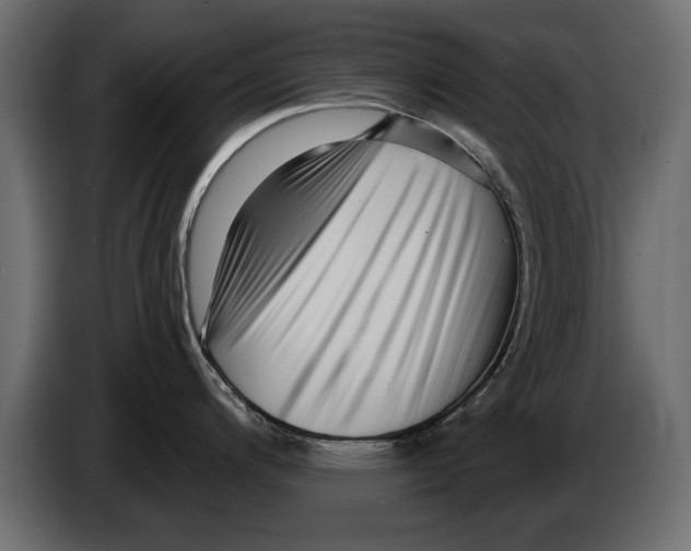 X0000082981200200703020250