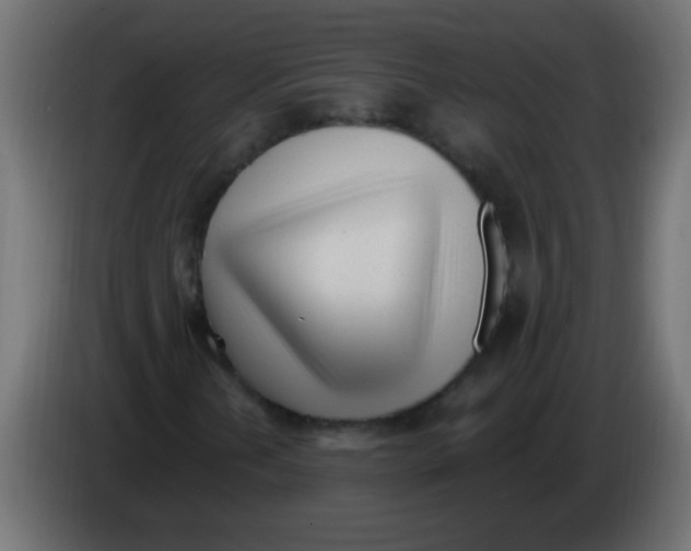 X0000082981202200703020249