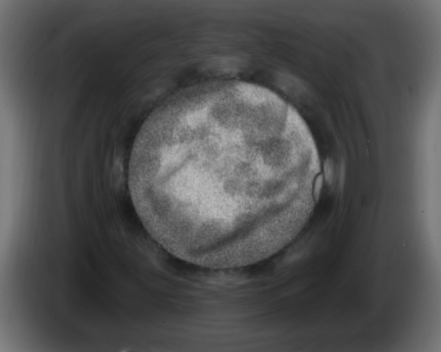 X0000082981203200703020249