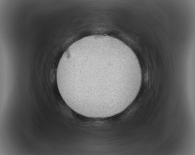 X0000082981204200703020249