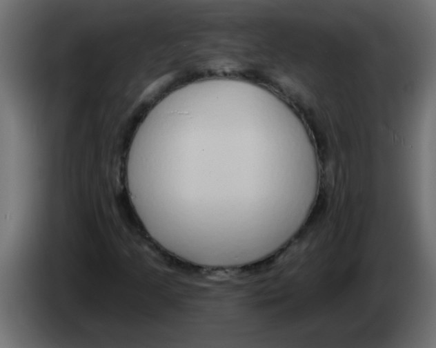 X0000082981205200703020249