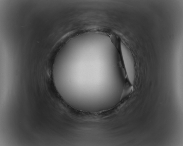 X0000082981206200703020249