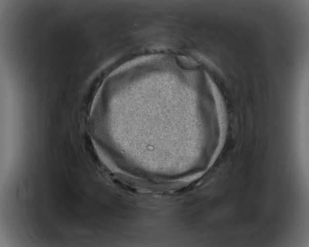 X0000082981207200703020249