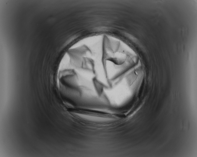 X0000082981209200703020249