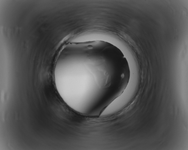 X0000082981210200703020249