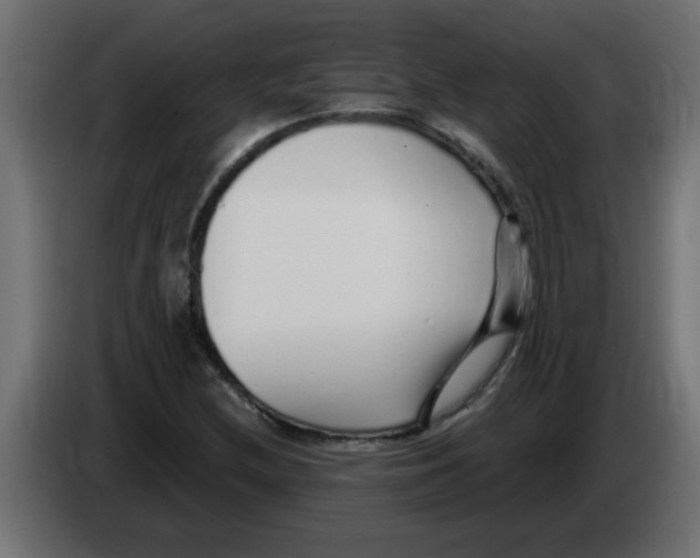 X0000082981212200703020249