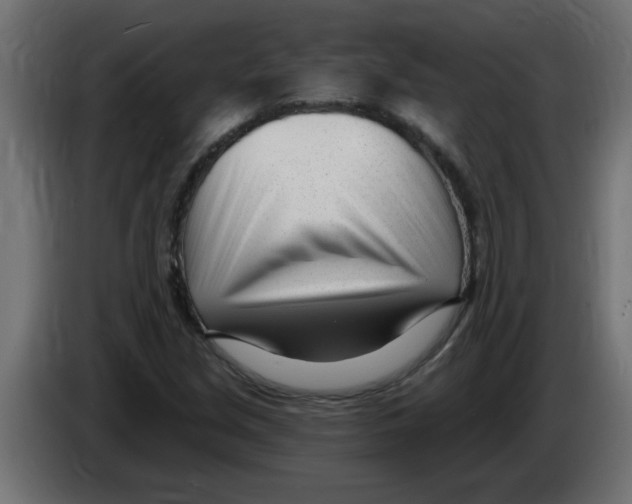 X0000082981213200703020249