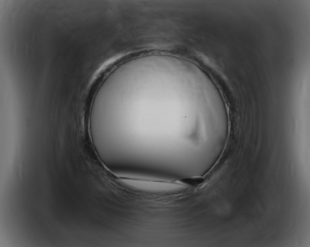 X0000082981214200703020249