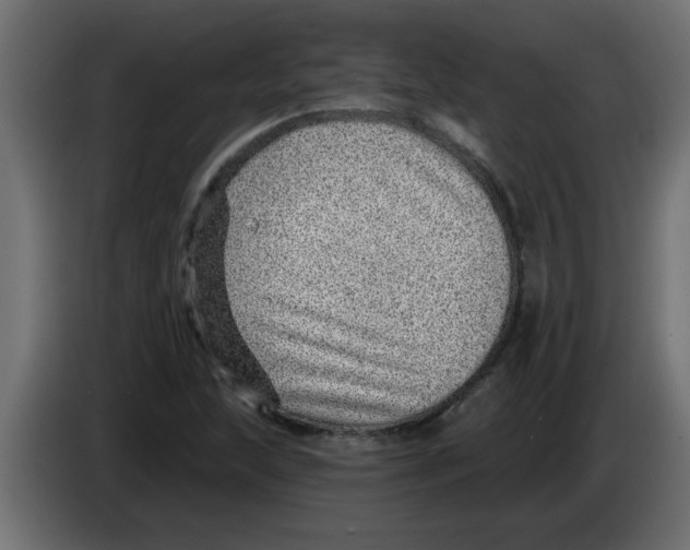 X0000082981215200703020249