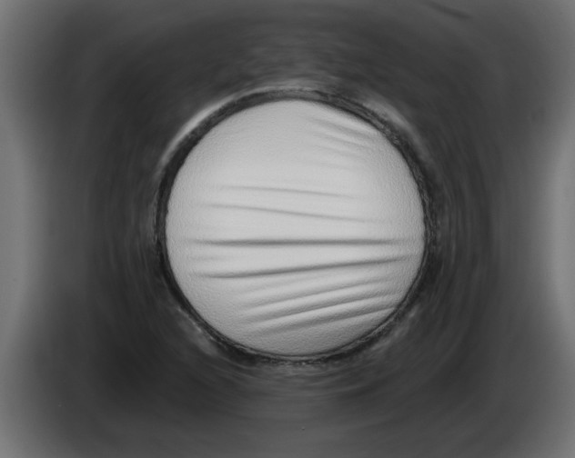 X0000082981216200703020249