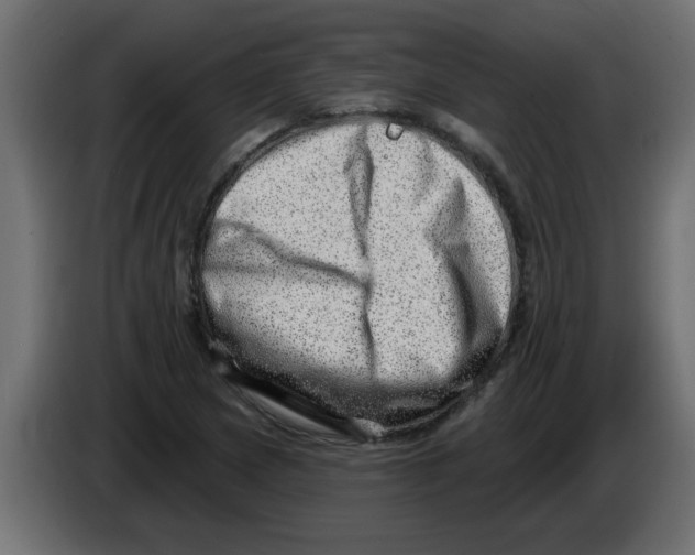 X0000082981217200703020249