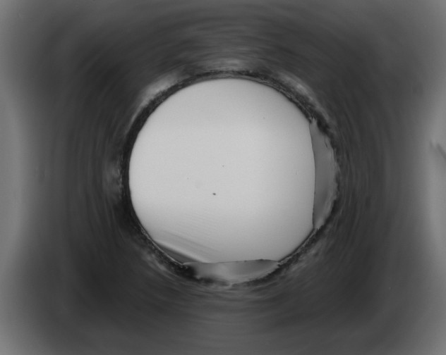 X0000082981218200703020249