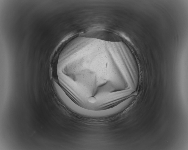 X0000082981219200703020249