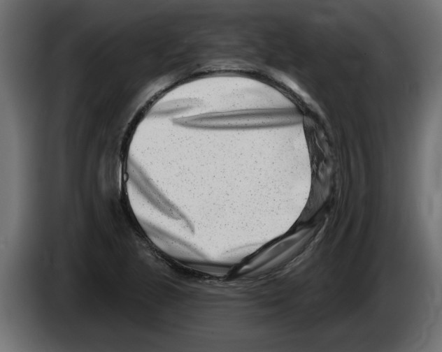 X0000082981221200703020249