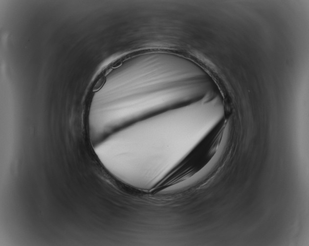 X0000082981222200703020249