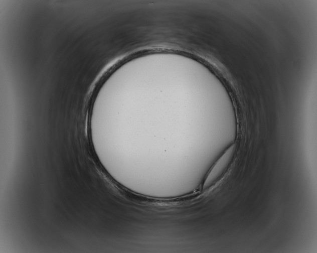 X0000082981224200703020249