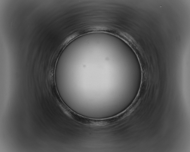 X0000082981225200703020249