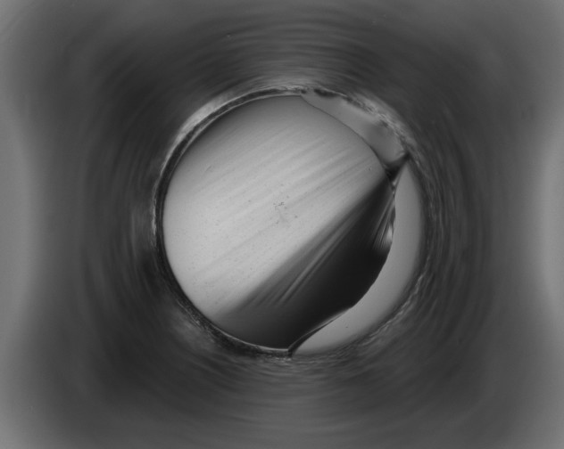 X0000082981226200703020249