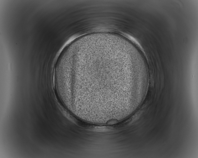 X0000082981227200703020249