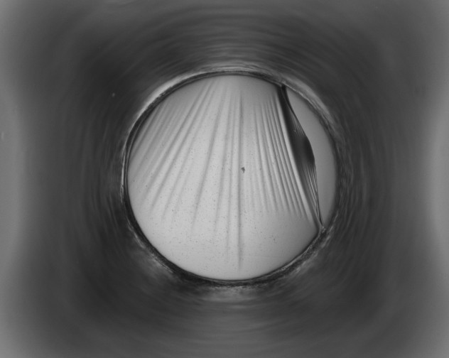 X0000082981228200703020249