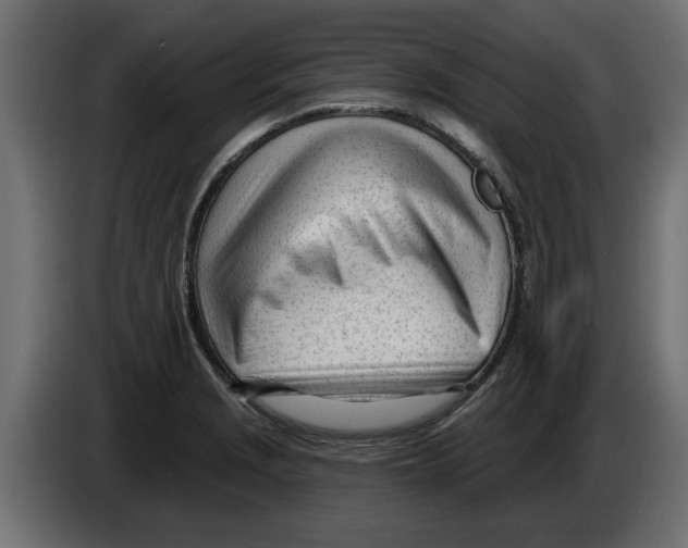 X0000082981229200703020249