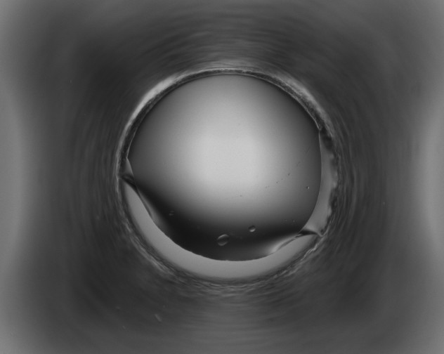 X0000082981230200703020249