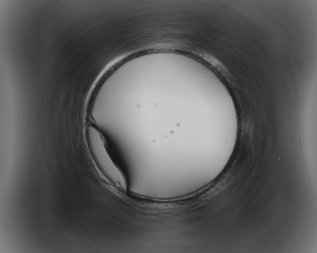 X0000082981232200703020249