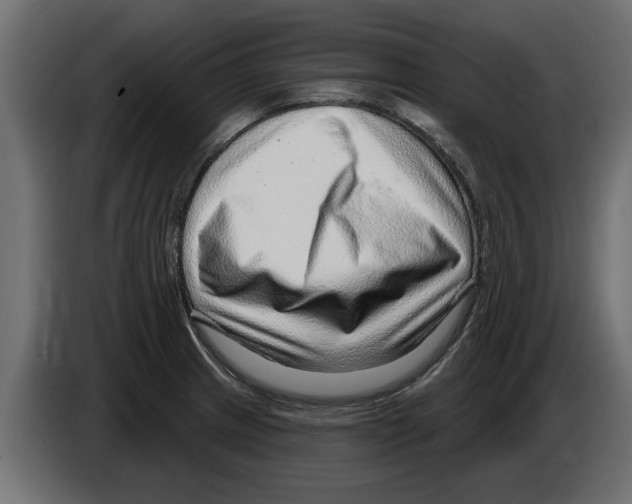 X0000082981233200703020249