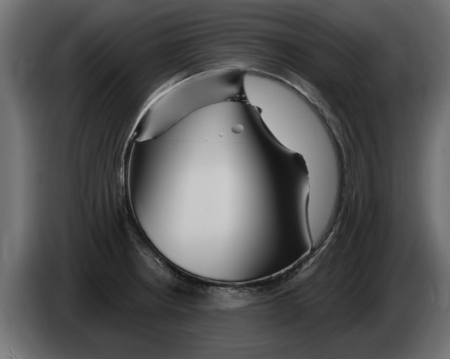 X0000082981234200703020249